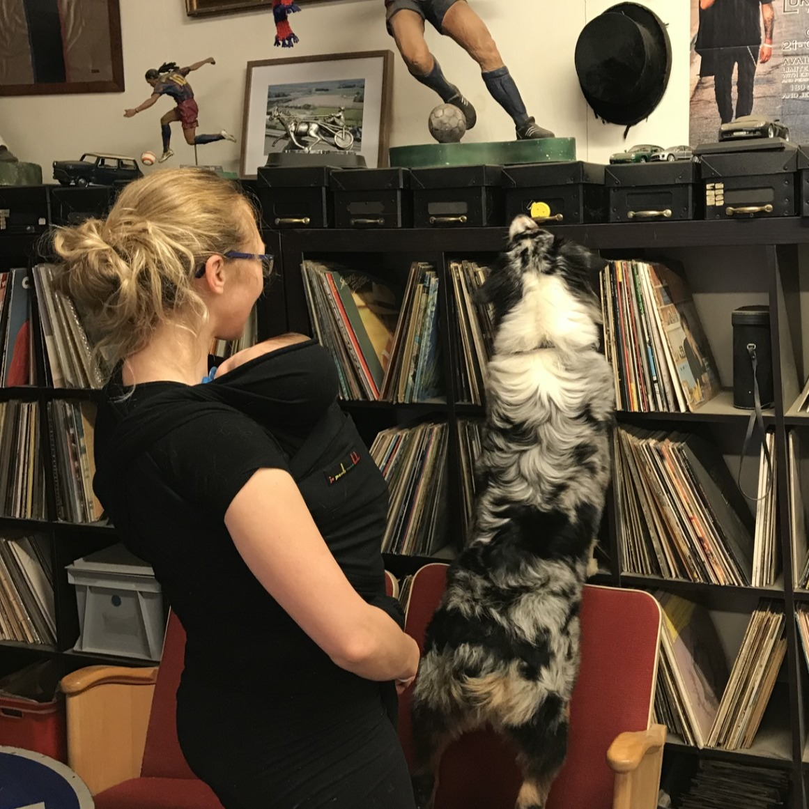 Nose Work - trin 36 - eftermiddag (tilmelding kun efter aftale - lukket hold)